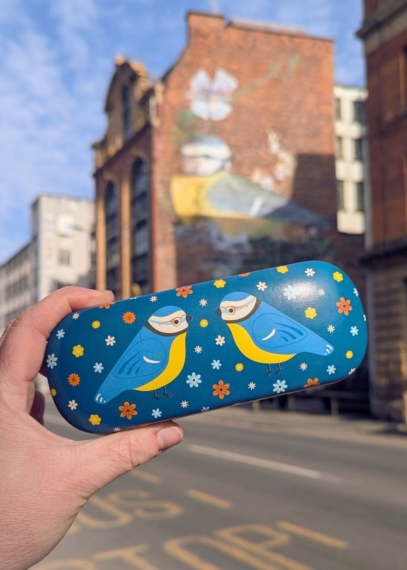 Sass & Belle - Blue Tit Glasses Case