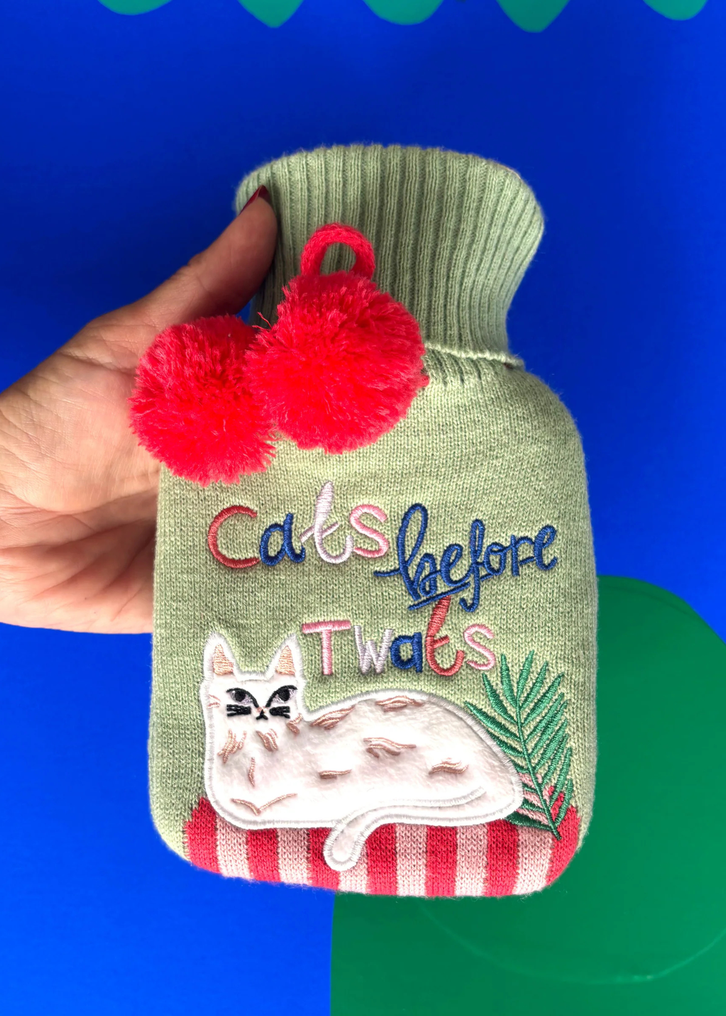 House of Disaster - Catnip Cats Before T**Ts Mini Hot Water Bottle