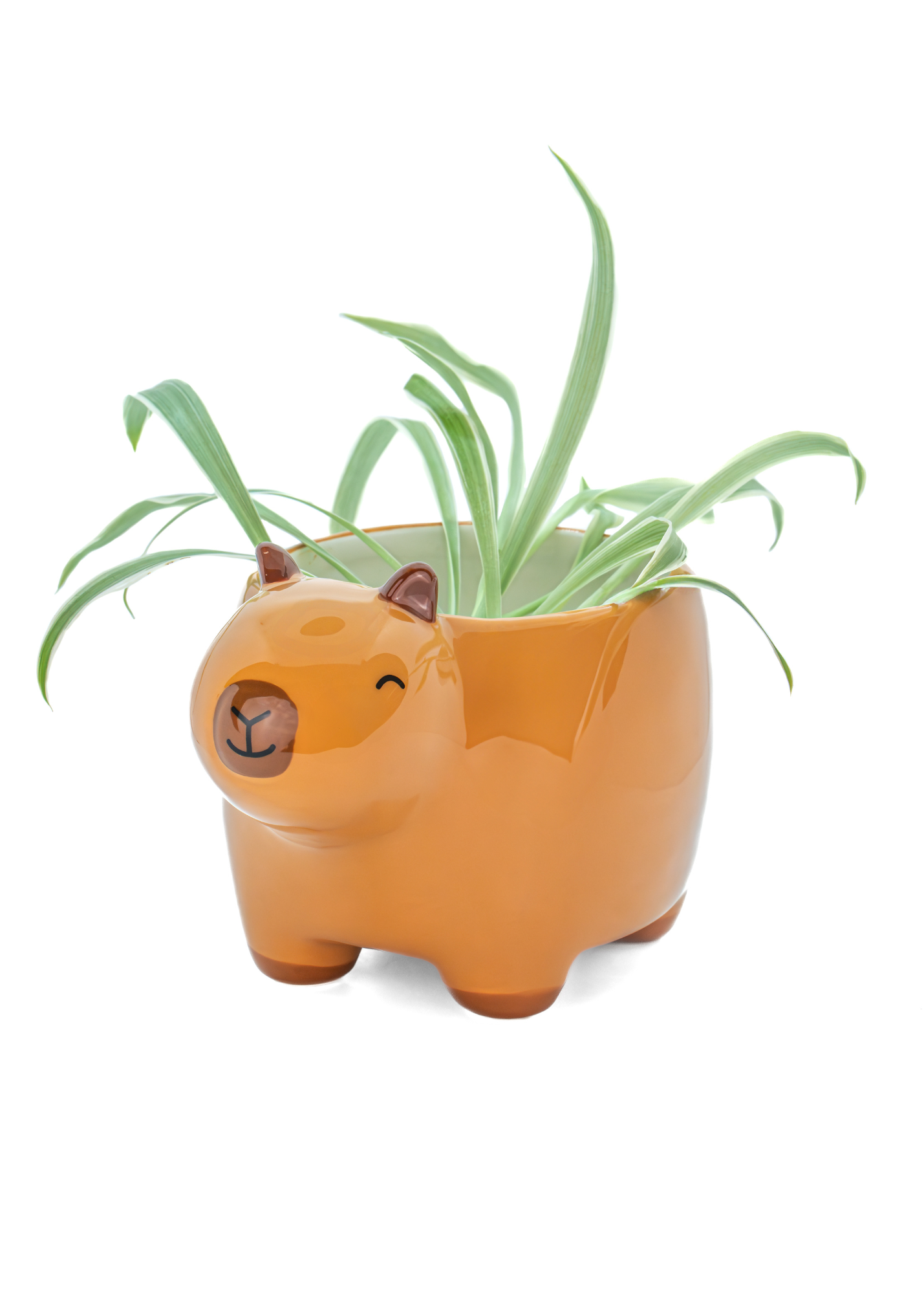 Sass & Belle - Capybara Mini Planter