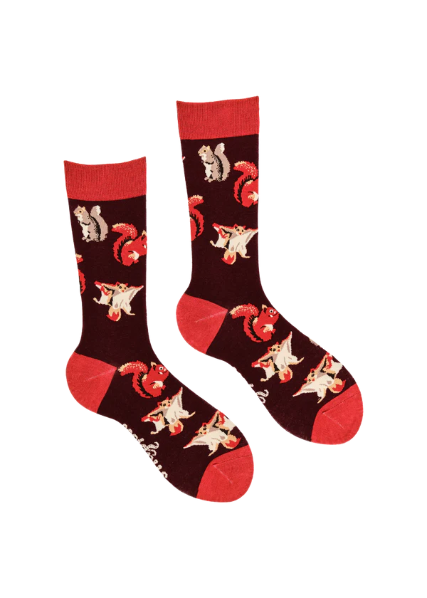 Socktopus - Squirrel Lover Socks