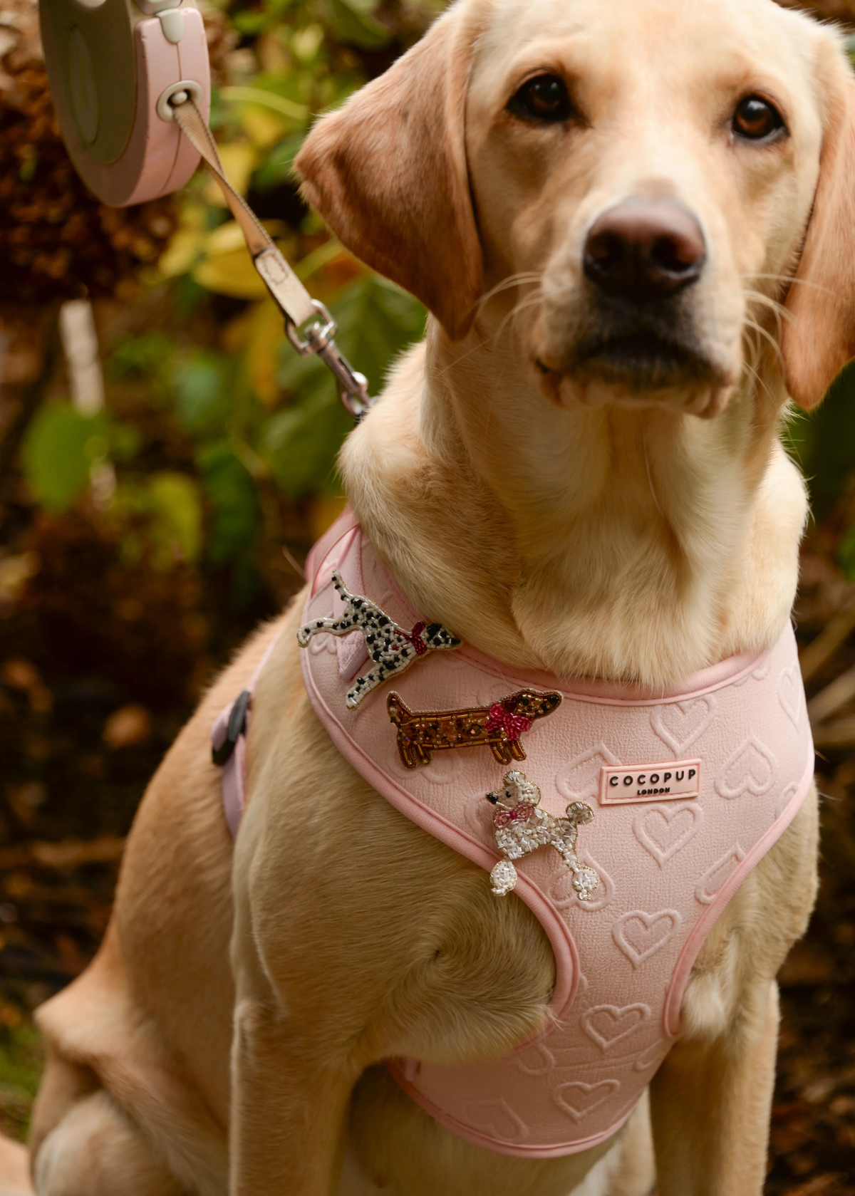 My Doris - Dalmatian Brooch