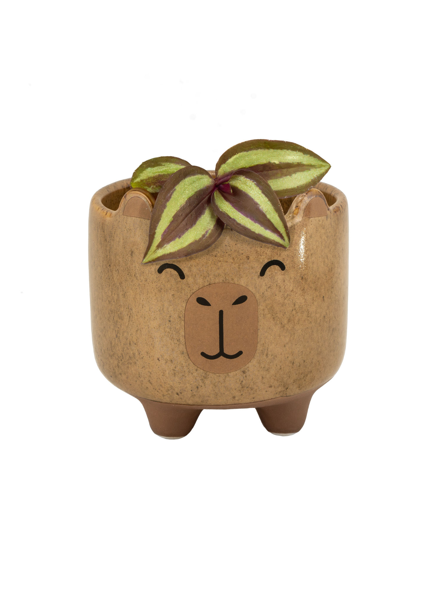 Sass & Belle - Capybara Mojave Planter