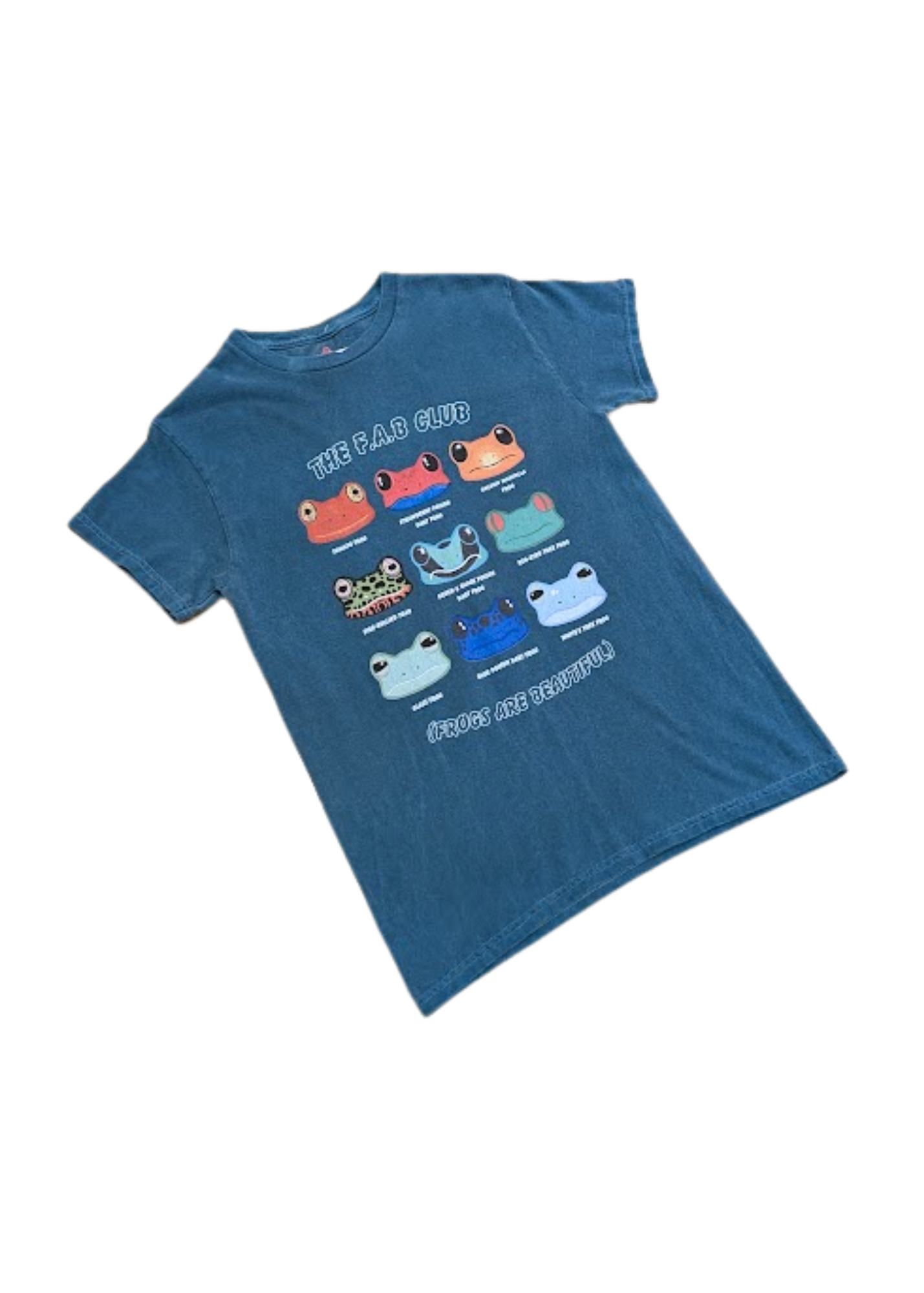Home of Rainbows - Frogs Are Beautiful Tee in Teal