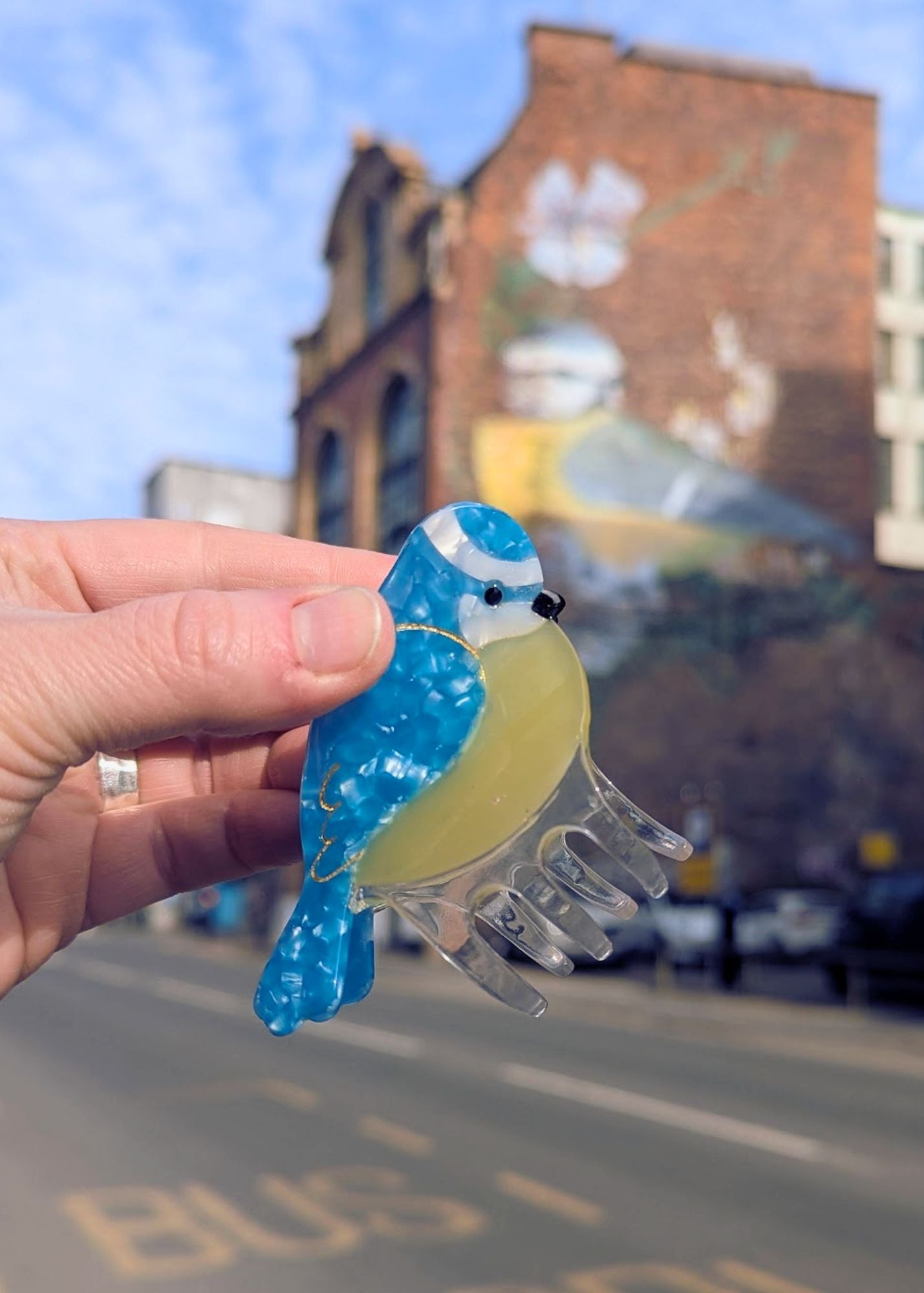 The Edit - Blue Tit Hair Claw