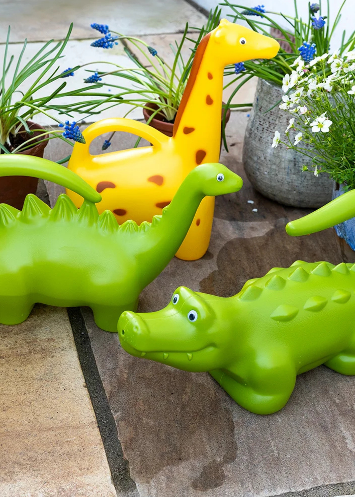 Rex London - Stegosaurus Watering Can