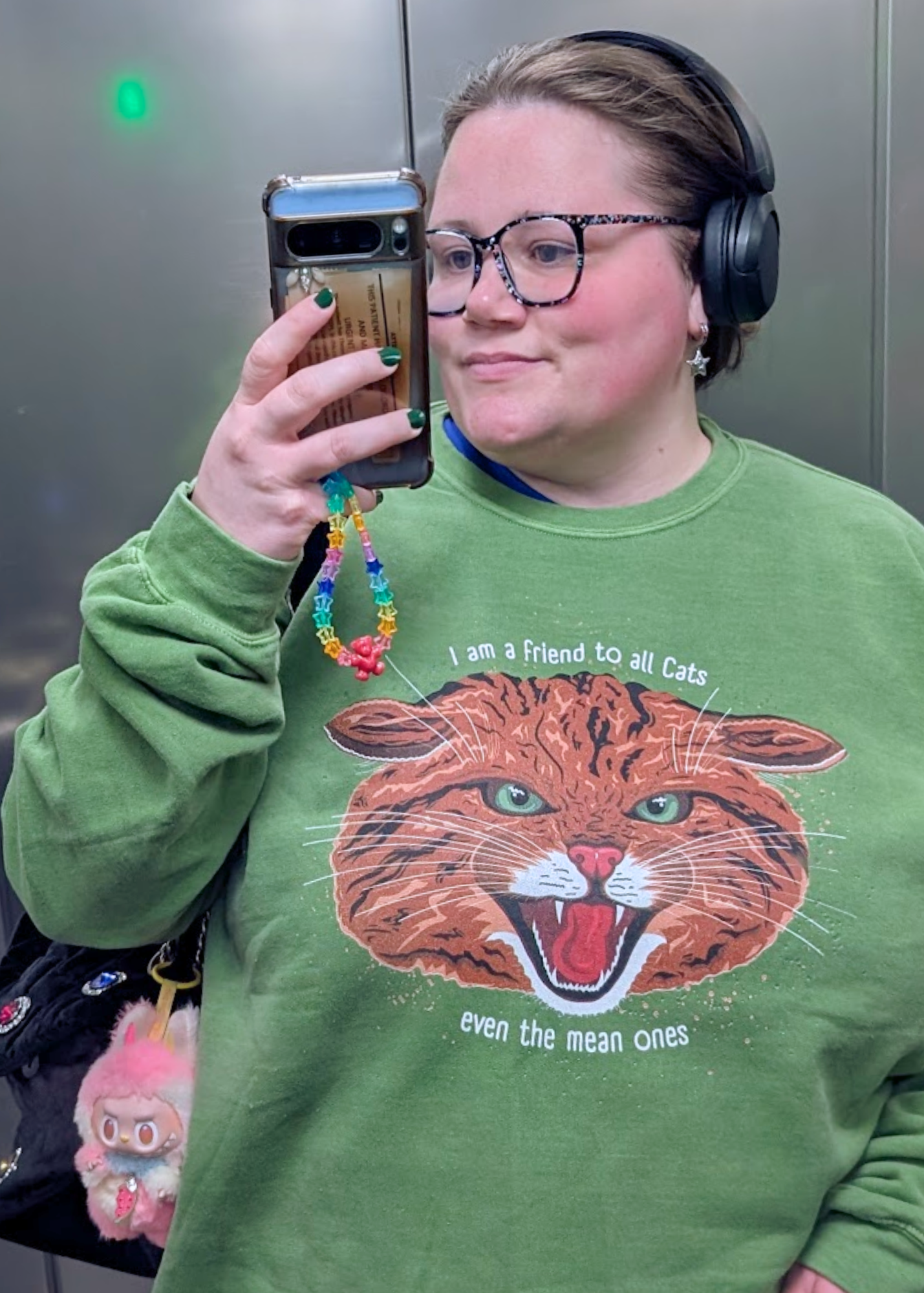 Home of Rainbows - "I'm A Friend To All Cats" Scottish Wildcat Sweater