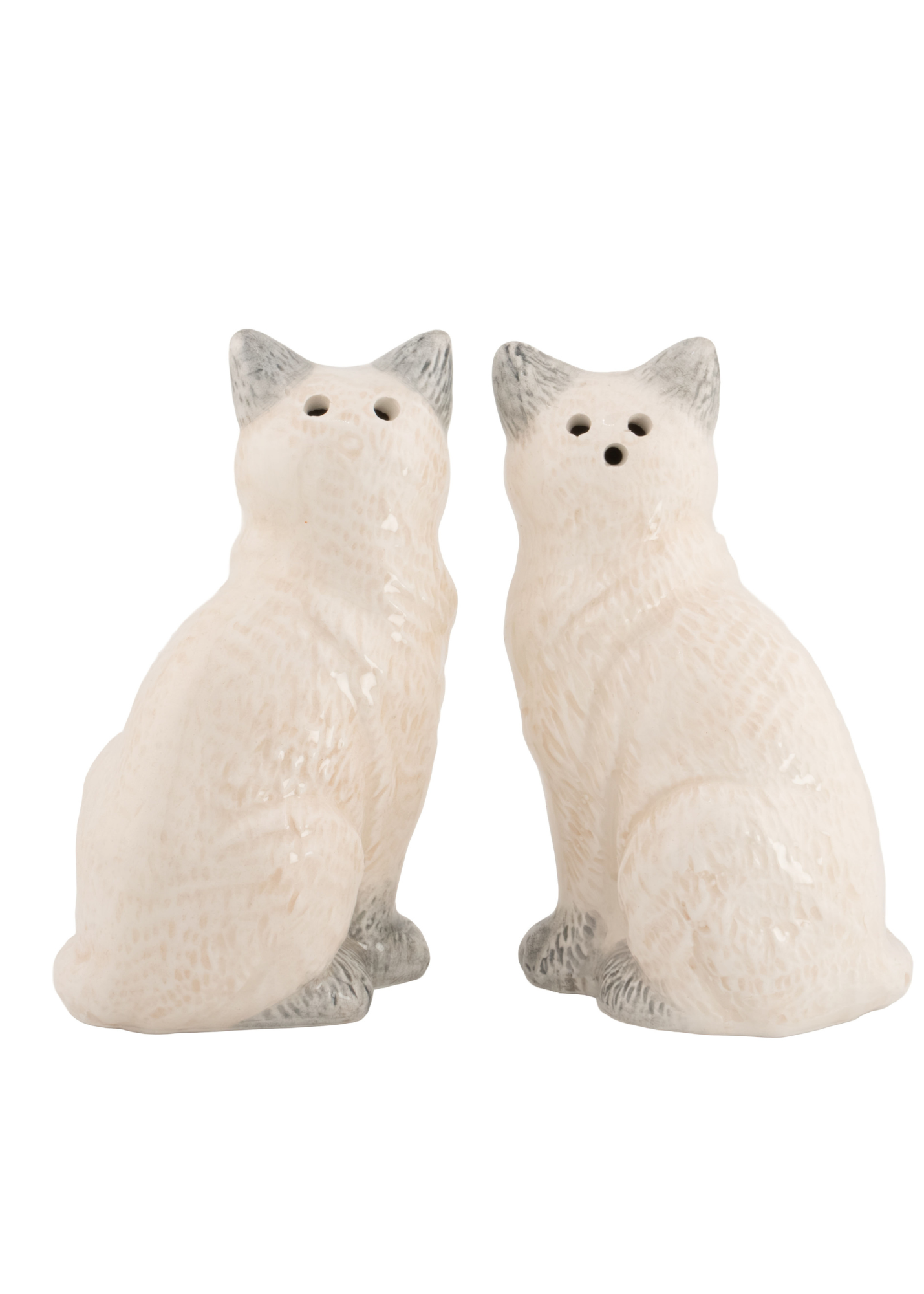 Sass & Belle - Ragdoll Cat Salt & Pepper Shaker