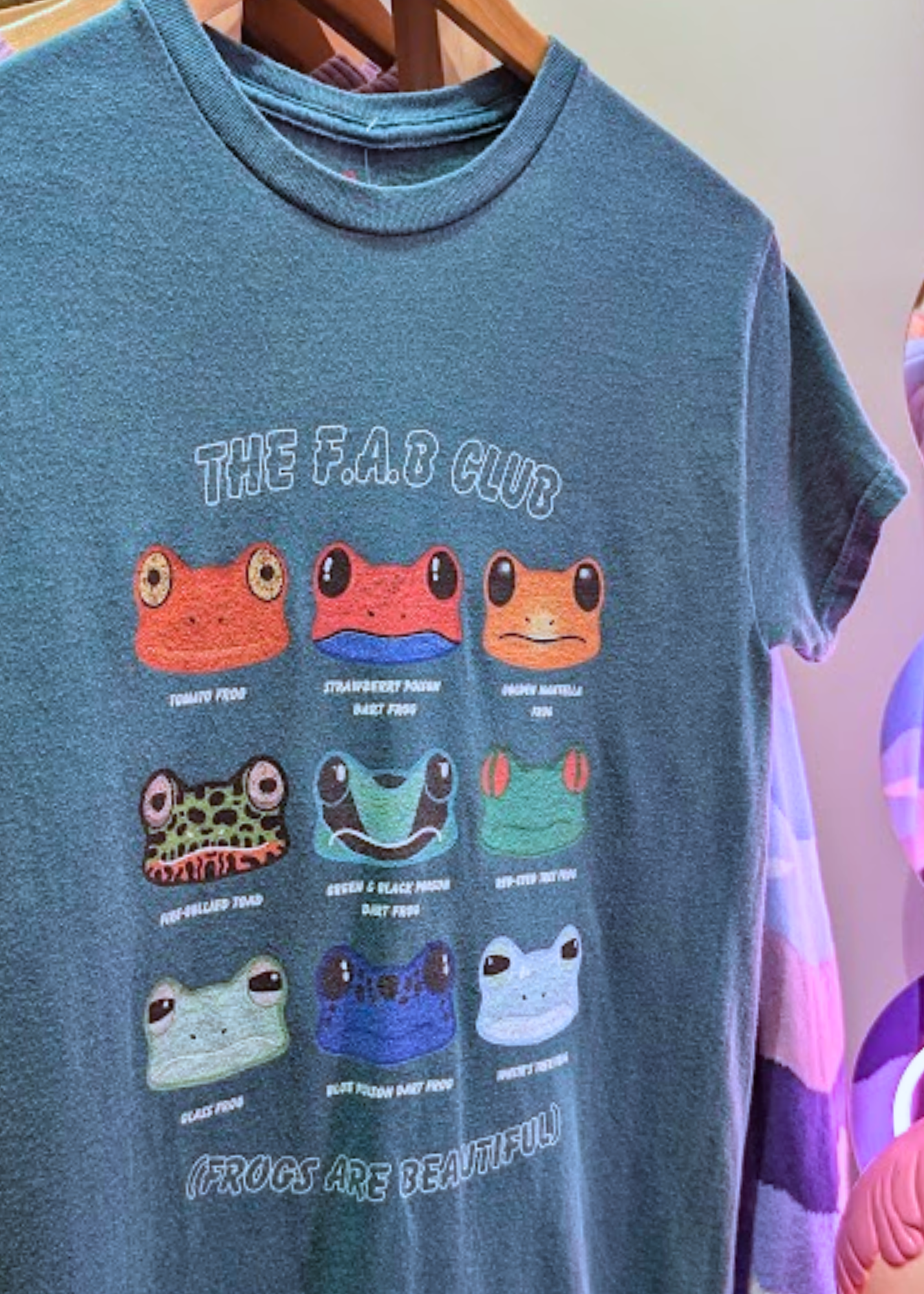 Home of Rainbows - Frogs Are Beautiful Tee in Teal
