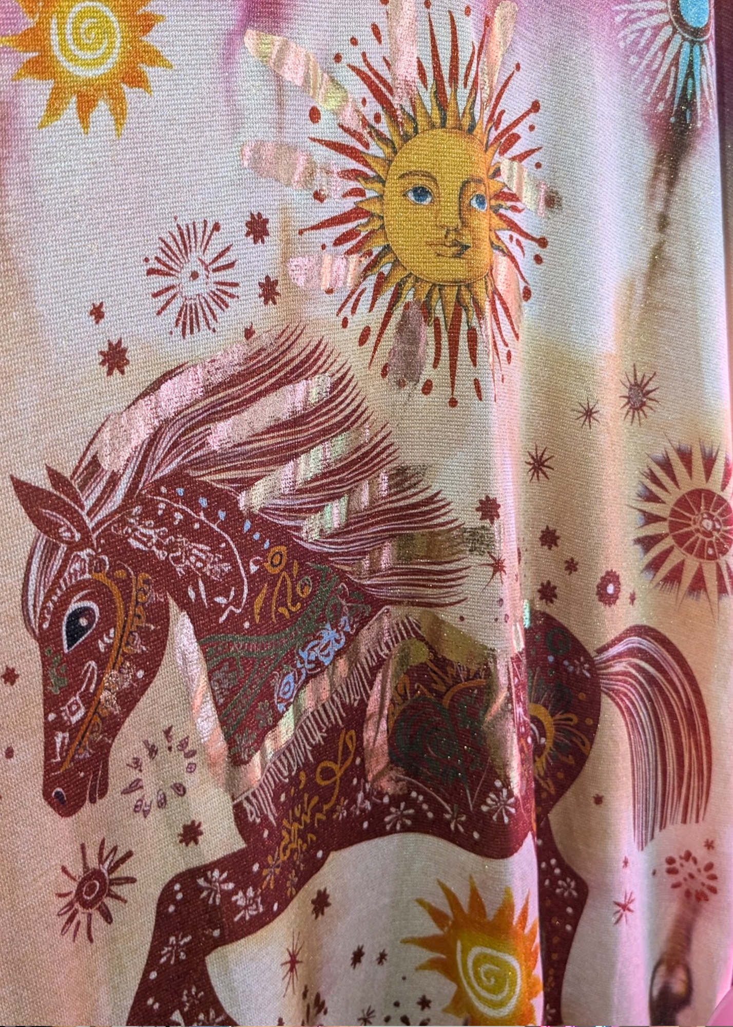 The Edit - Sparkly Sun and Horse Dress