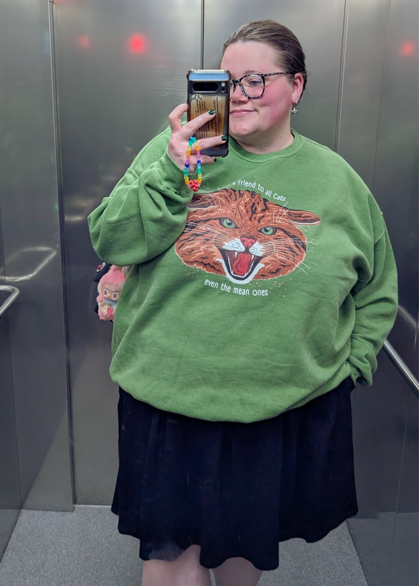 Home of Rainbows - "I'm A Friend To All Cats" Scottish Wildcat Sweater