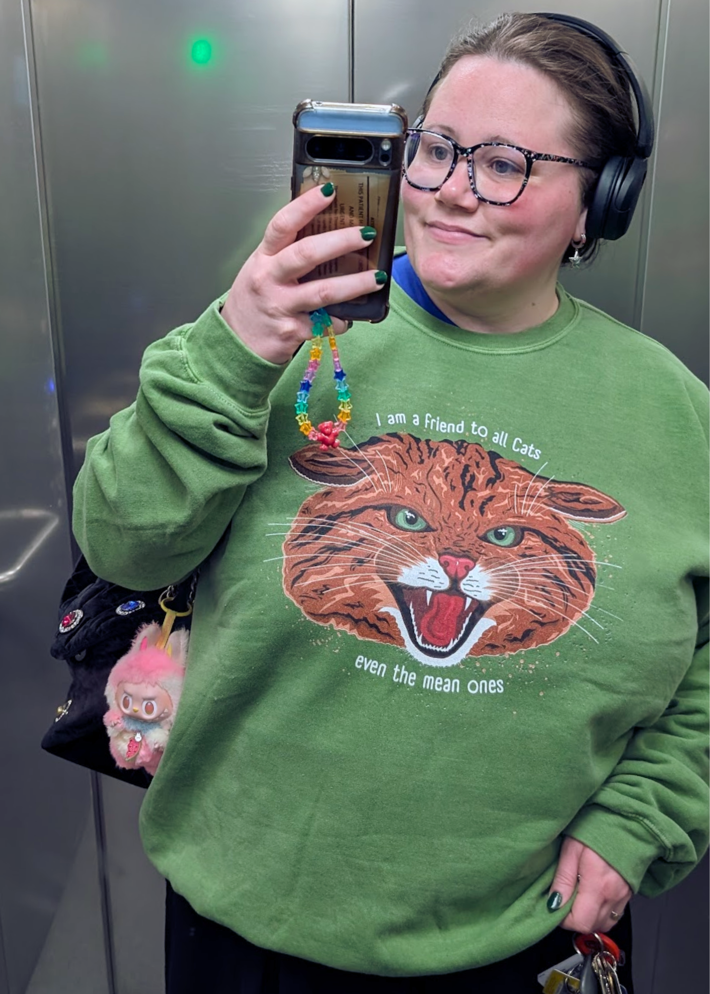 Home of Rainbows - "I'm A Friend To All Cats" Scottish Wildcat Sweater