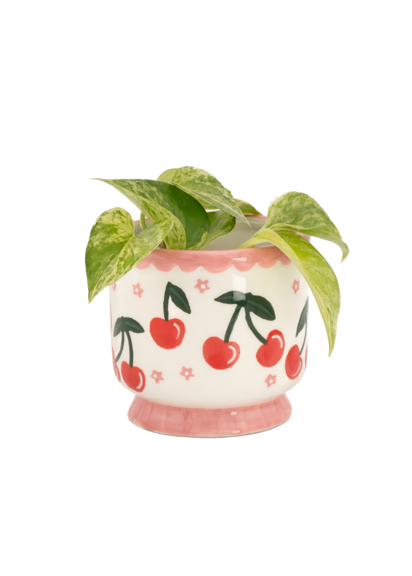 Sass & Belle - Cherry Mini Planter