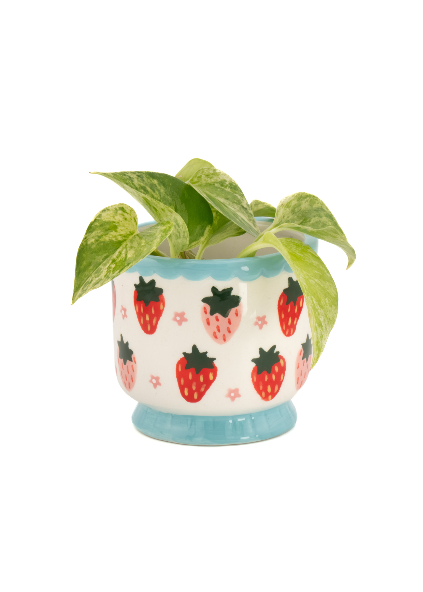 Sass & Belle - Strawberry Mini Planter