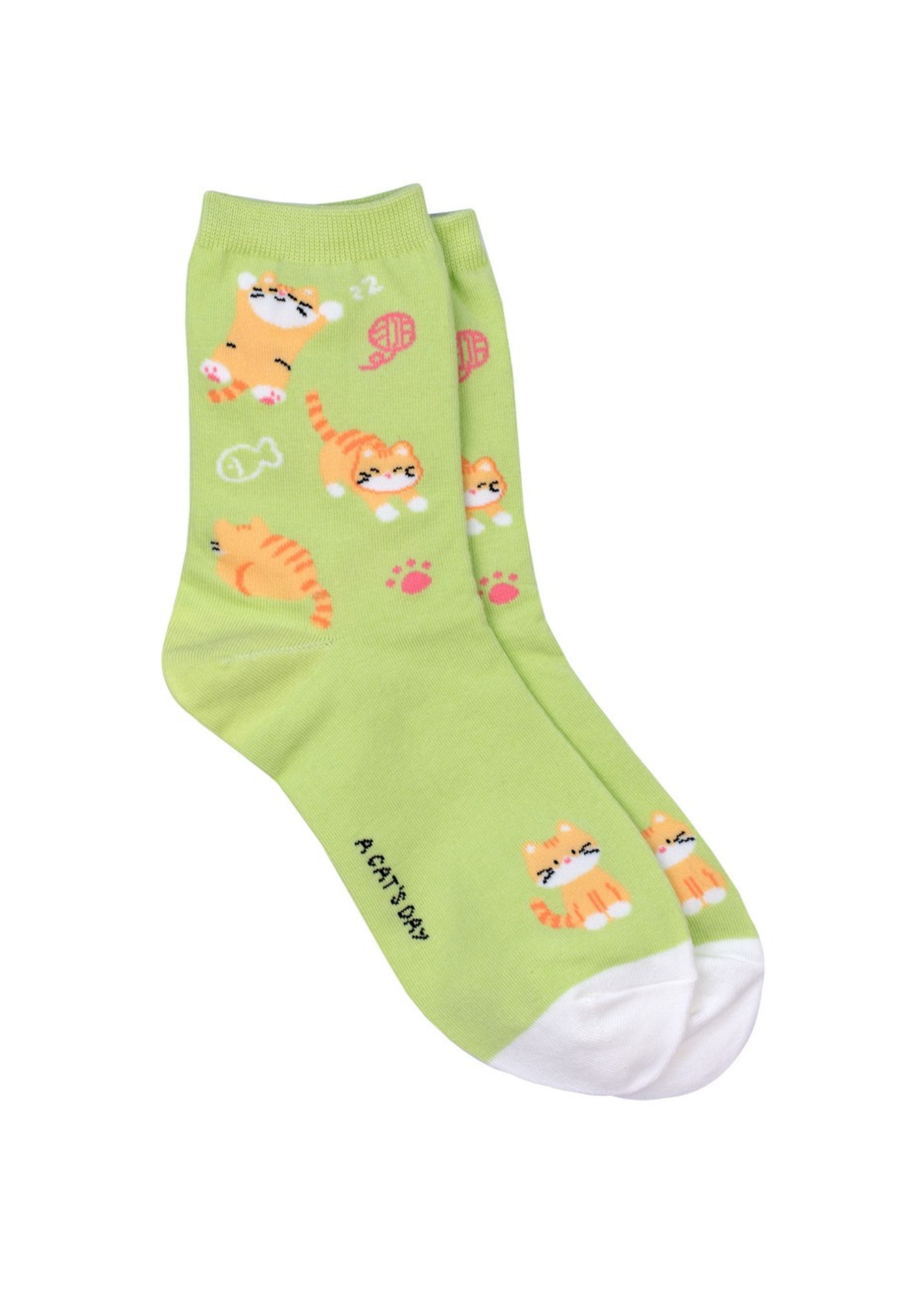 Joe Cool - Green Ginger Cat Nap Socks