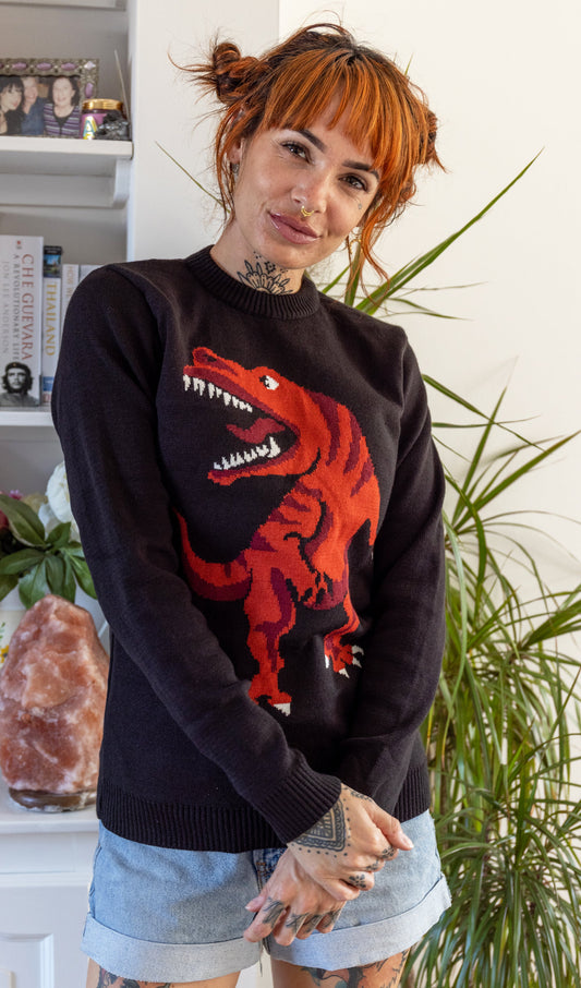 Run & Fly - T-Rex Dino Roar Jumper