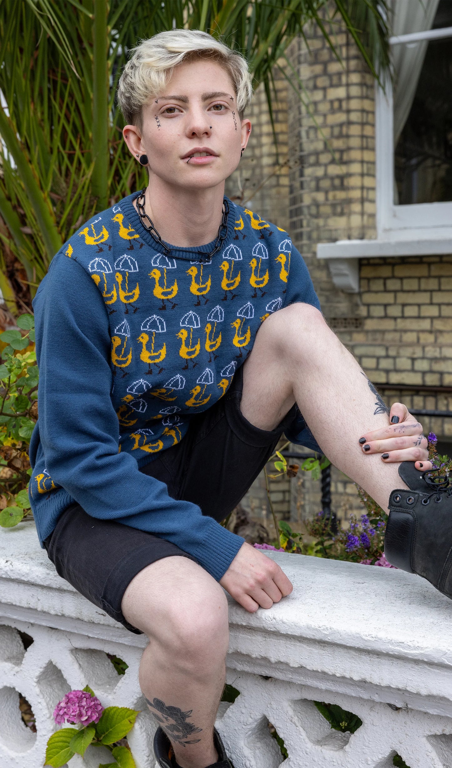 Run & Fly - Nice Weather for Ducks Jumper