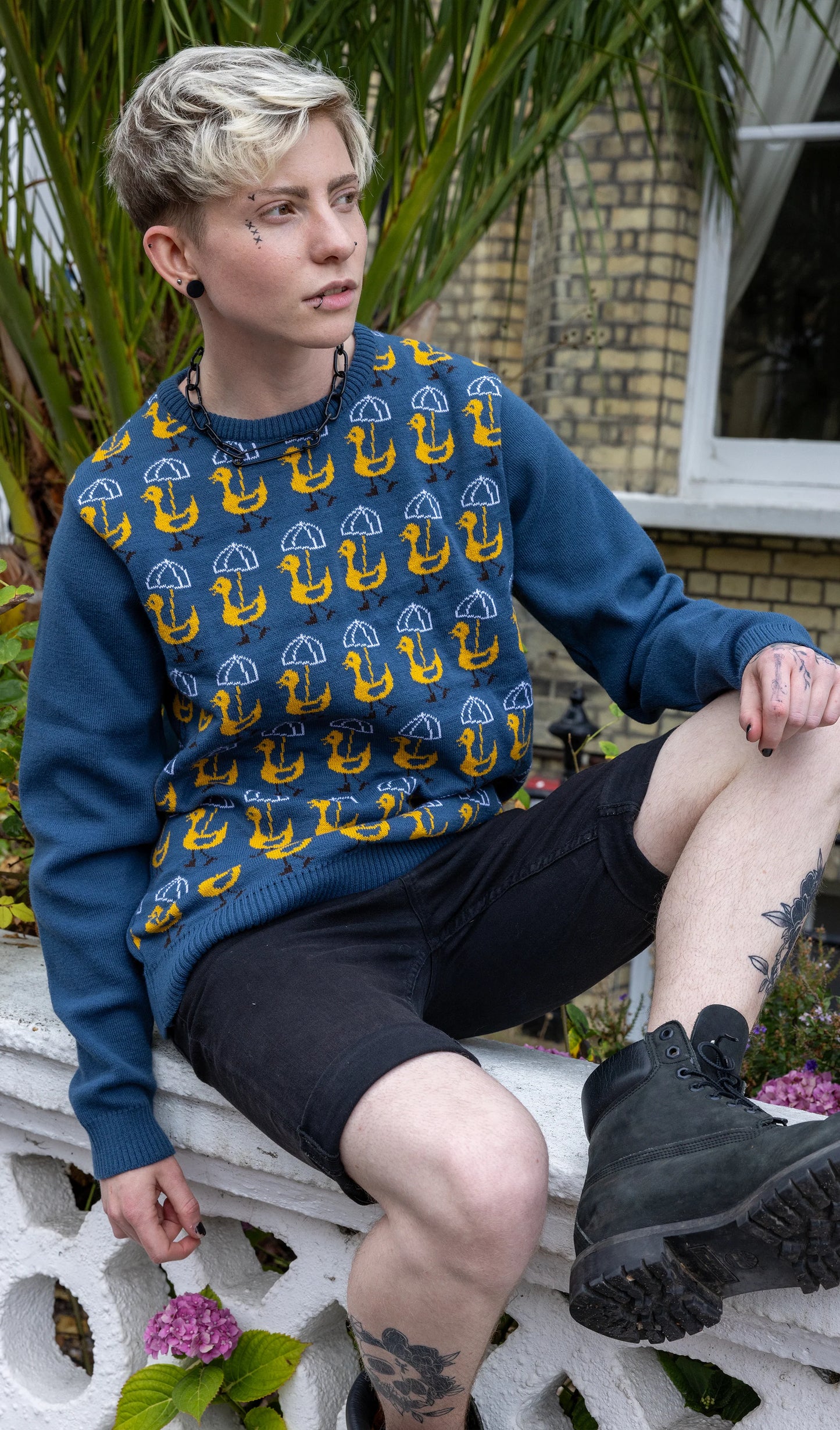 Run & Fly - Nice Weather for Ducks Jumper