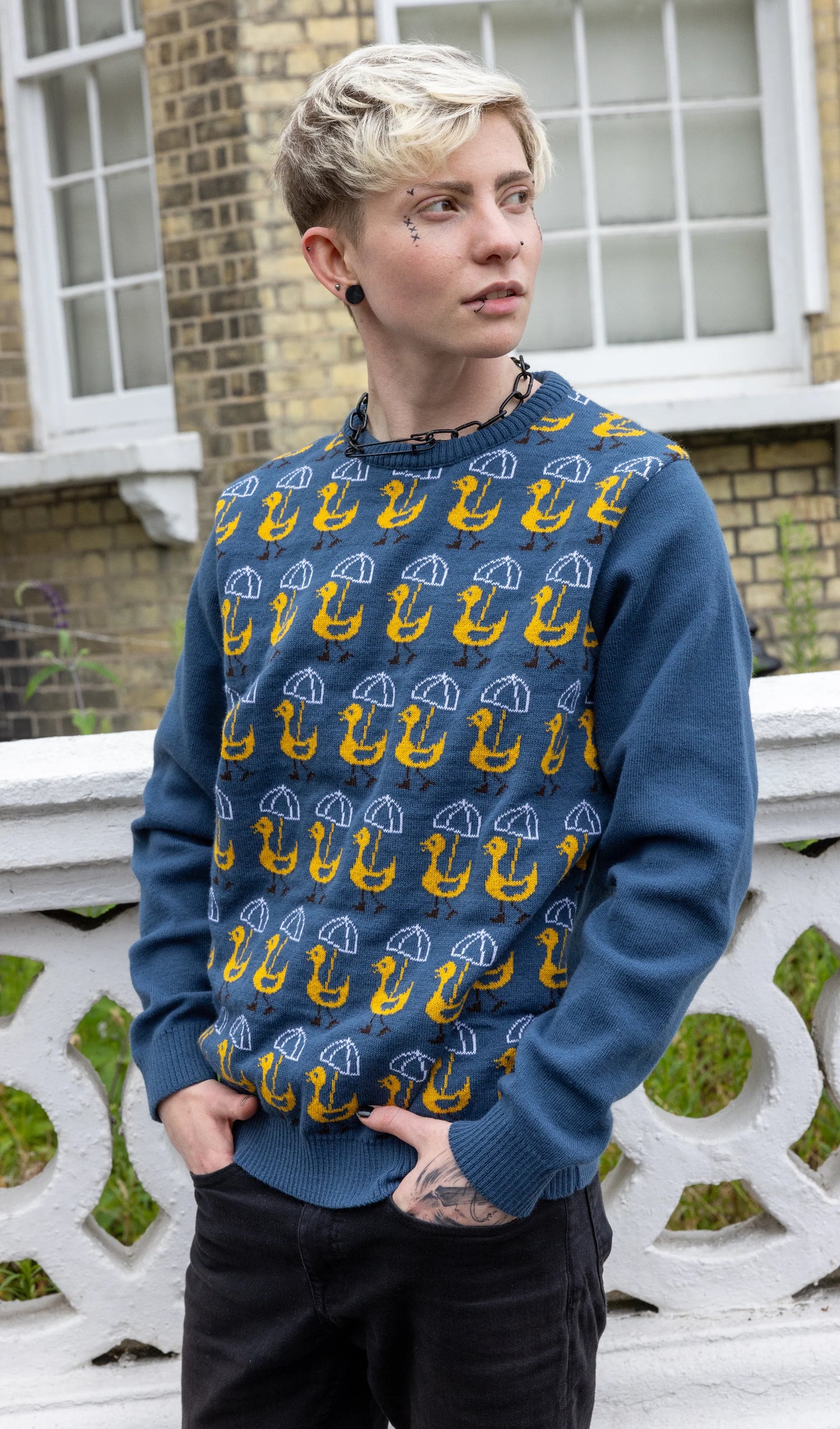 Run & Fly - Nice Weather for Ducks Jumper
