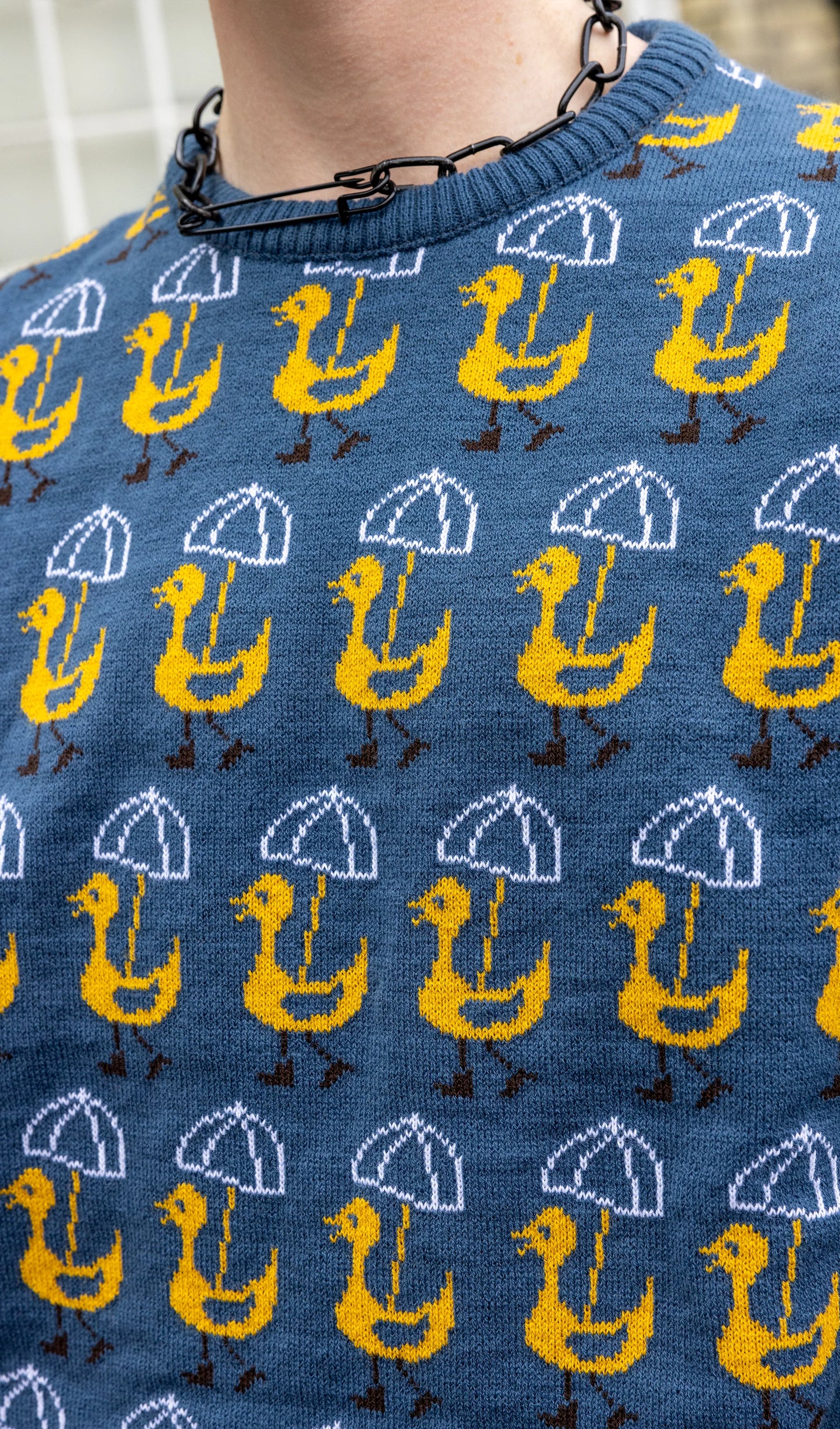 Run & Fly - Nice Weather for Ducks Jumper