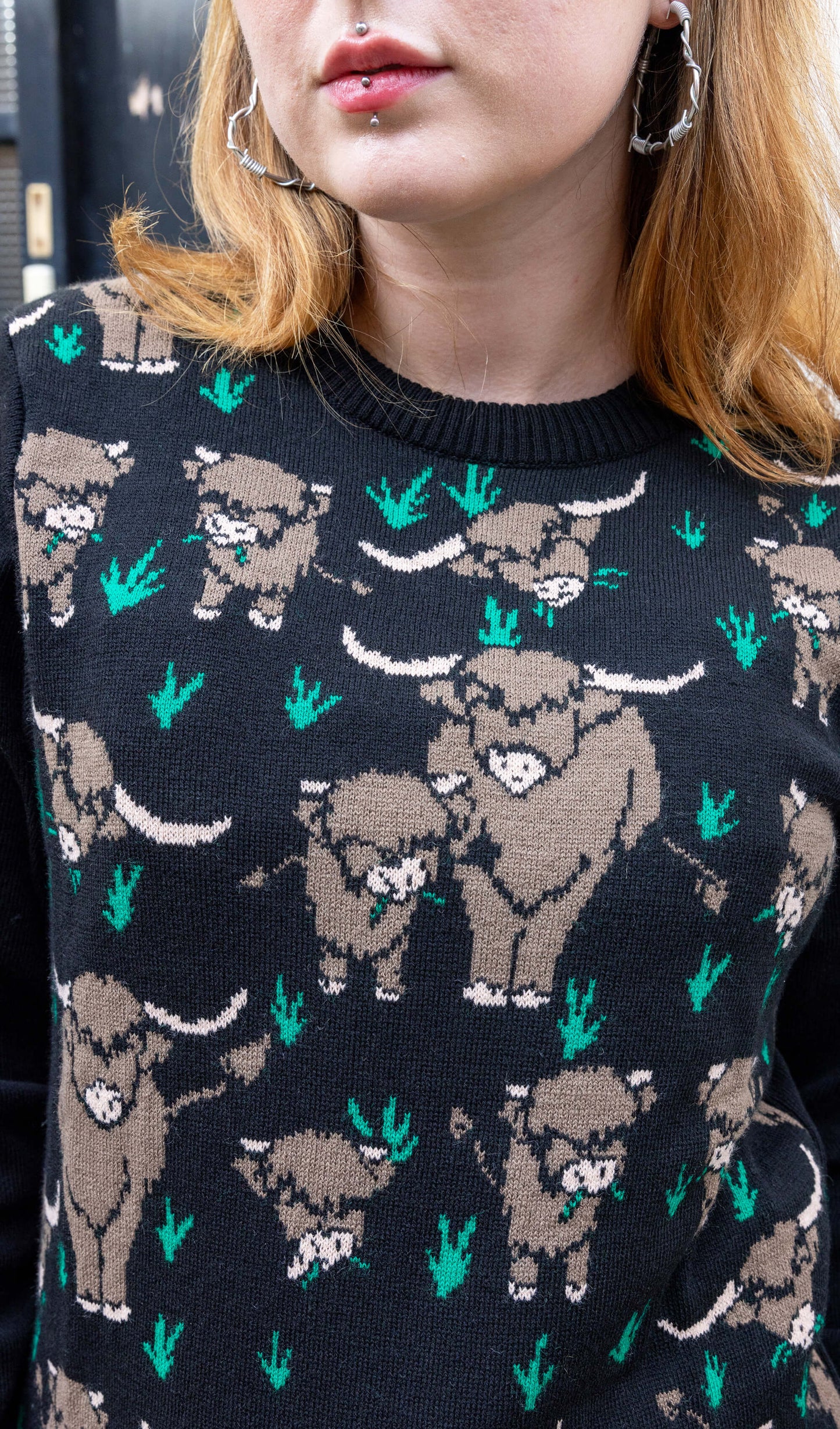 Run & Fly - Highland Cow Jumper