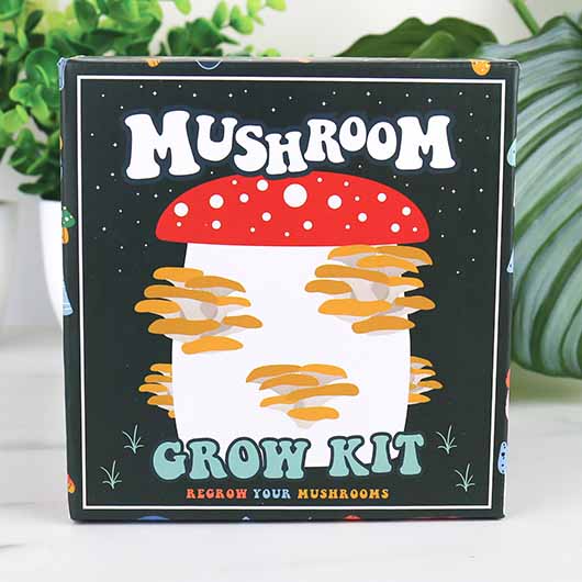 Gift Republic - Mushroom Grow Kit