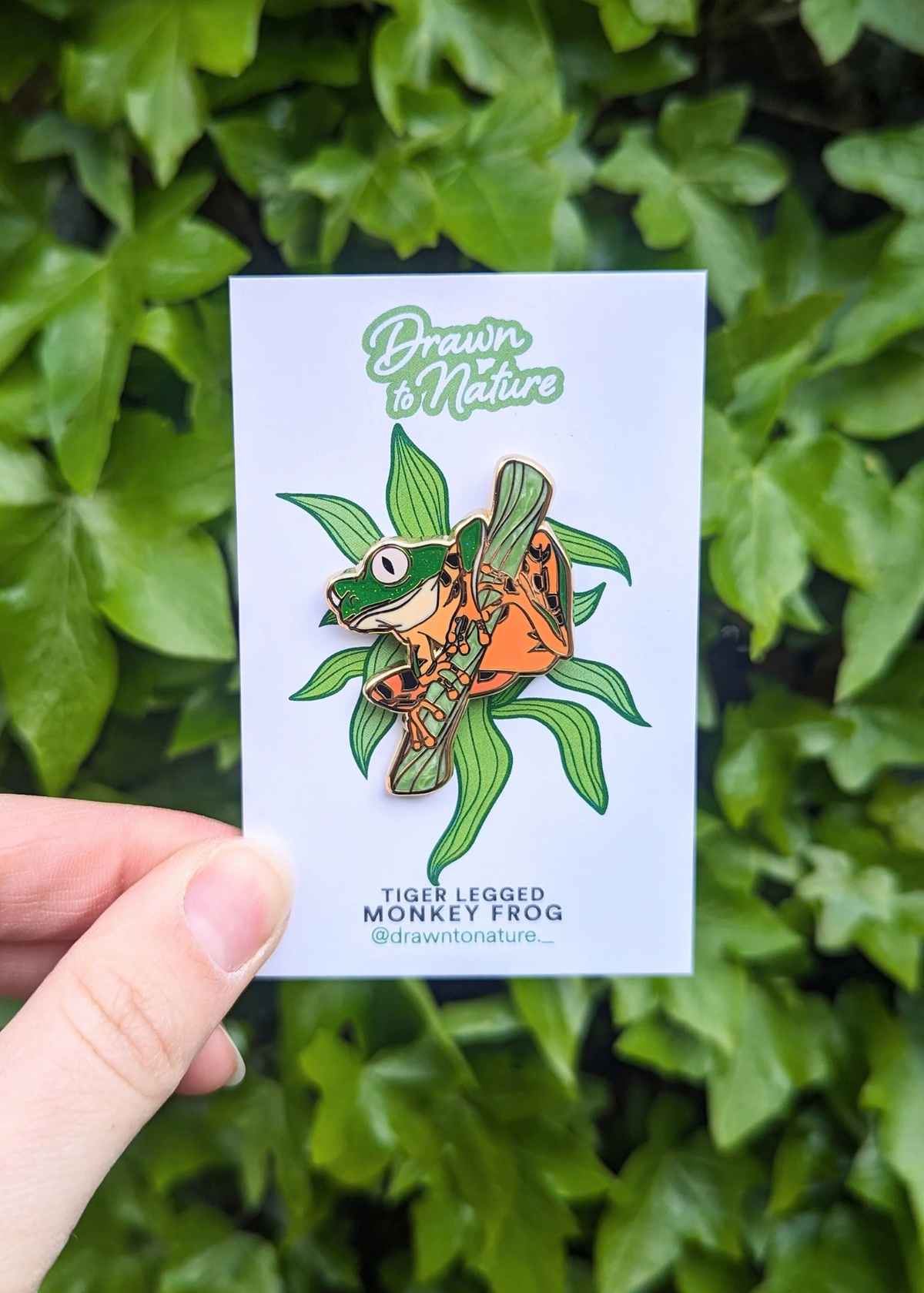 Drawn to Nature - Tiger Leg Tree Frog Enamel Pin