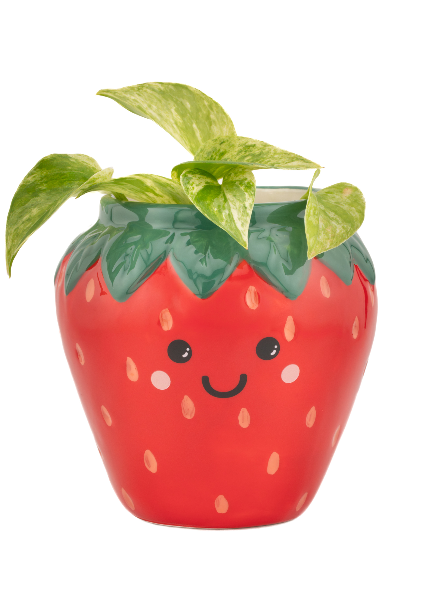 Sass & Belle - Strawberry Planter