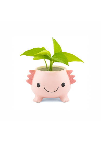 Sass & Belle - Axolotl Planter