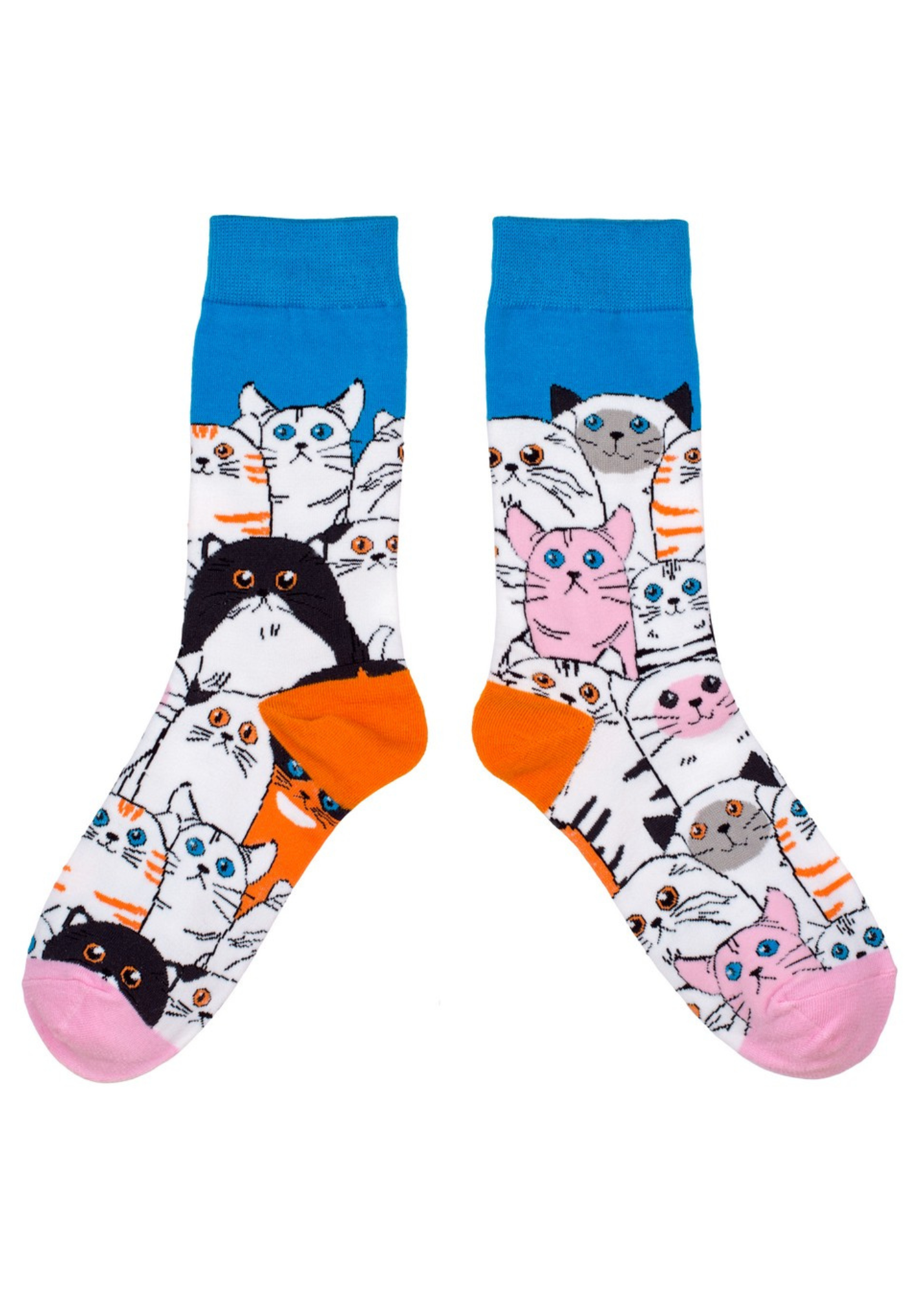 Joe Cool - Pile of Cat Socks