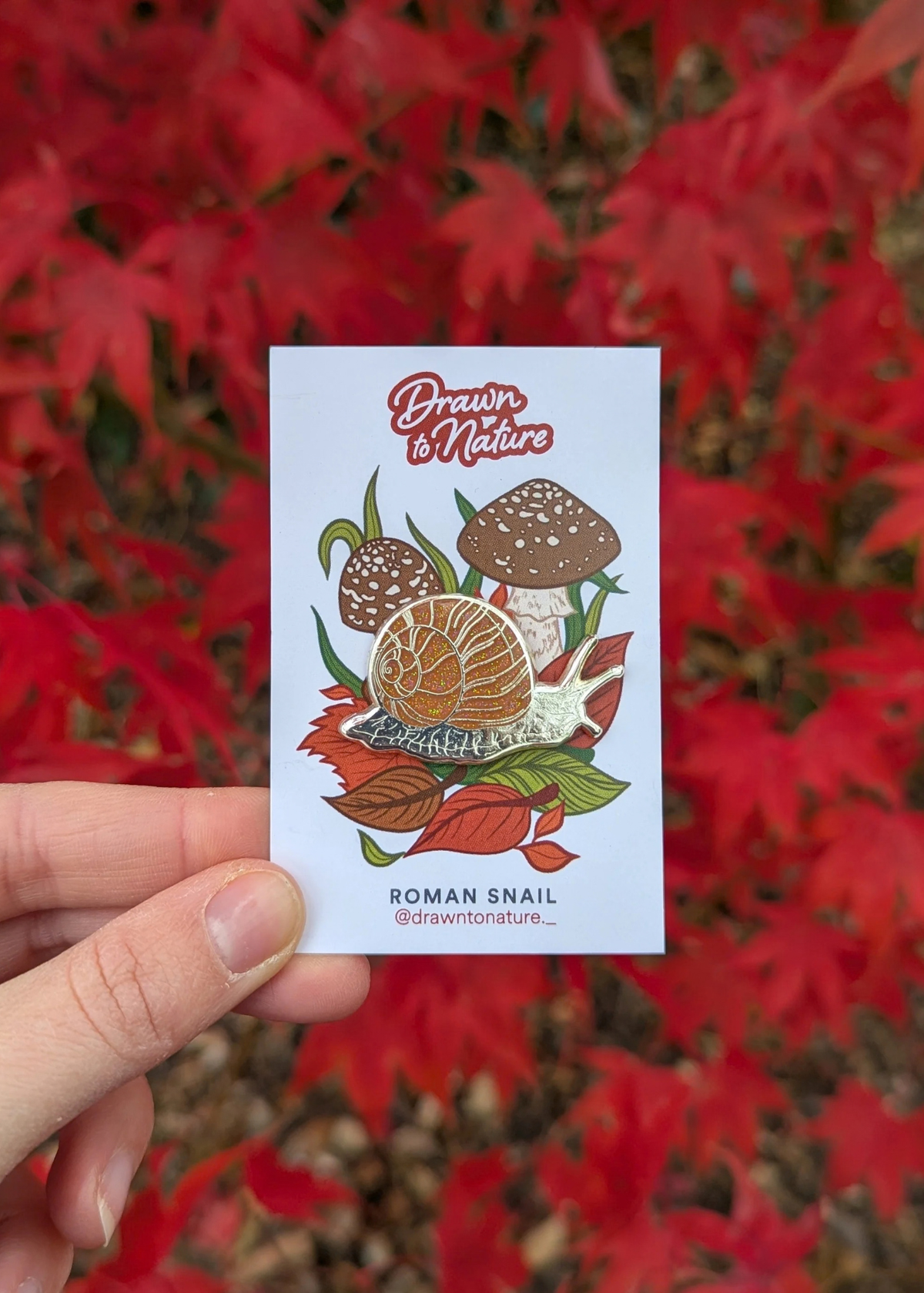 Drawn to Nature - Snail Enamel Pin