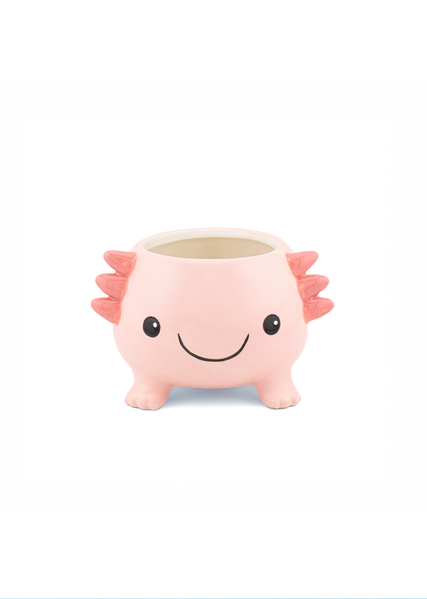 Sass & Belle - Axolotl Planter