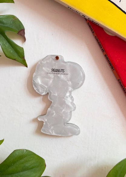 House of Disaster - Peanuts Hugging Woodstock Compact Mirror