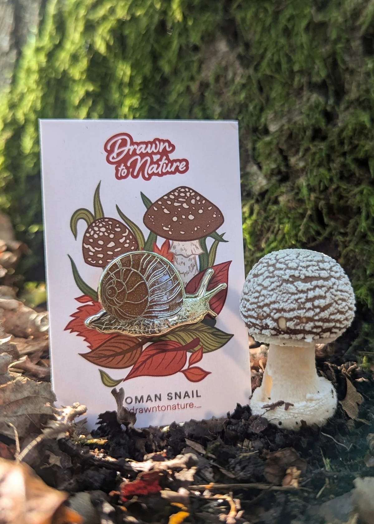 Drawn to Nature - Snail Enamel Pin