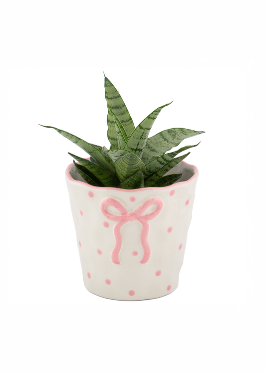 Sass & Belle - Cute Bow Planter