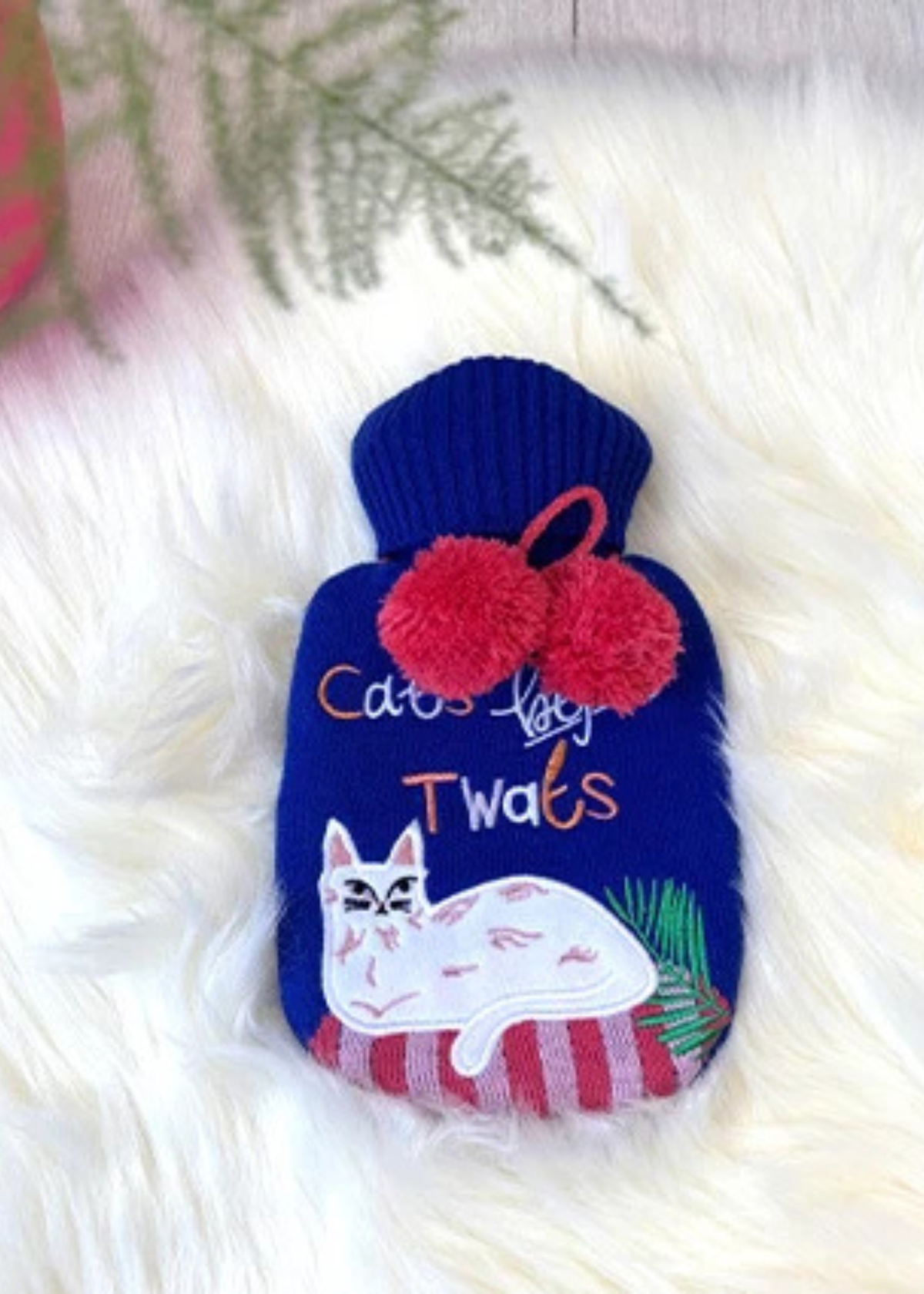 House of Disaster - Catnip Blue Cats Before T**Ts Mini Hot Water Bottle
