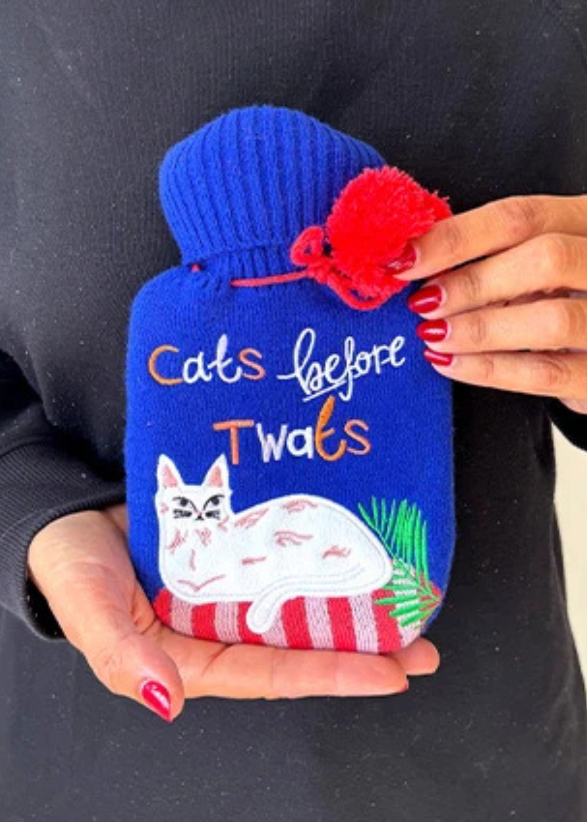 House of Disaster - Catnip Blue Cats Before T**Ts Mini Hot Water Bottle