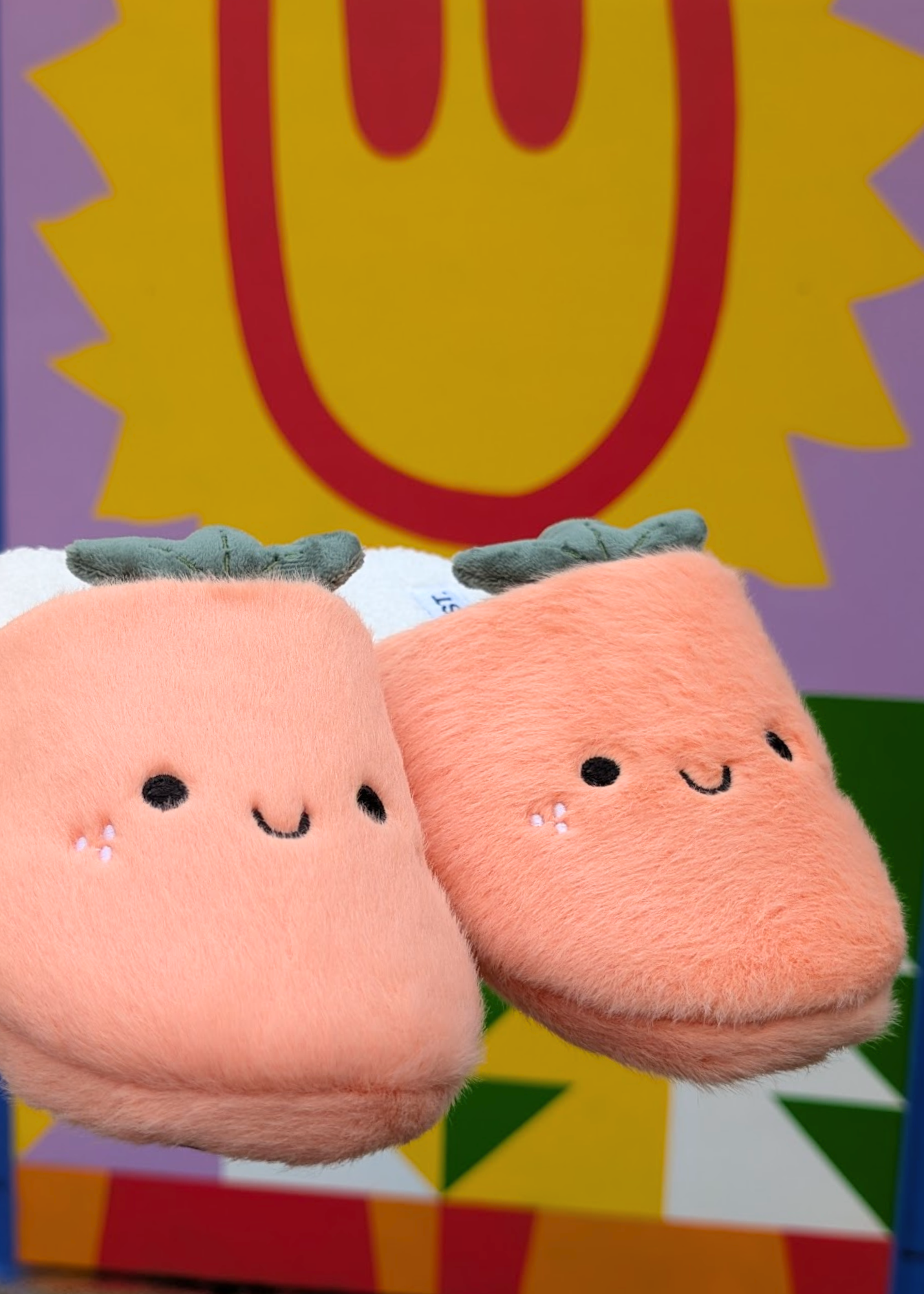 Daisy Street - Peach Plush Slippers