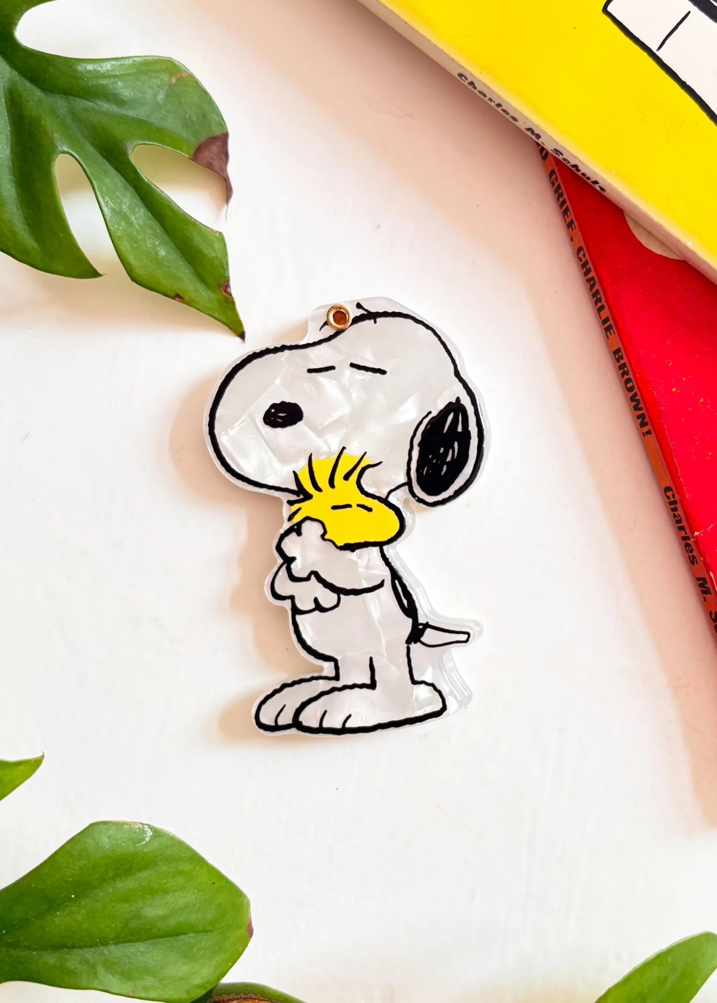 House of Disaster - Peanuts Hugging Woodstock Compact Mirror