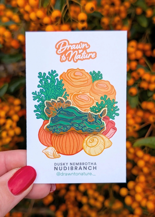 Drawn to Nature - Nudibranch Enamel Pin