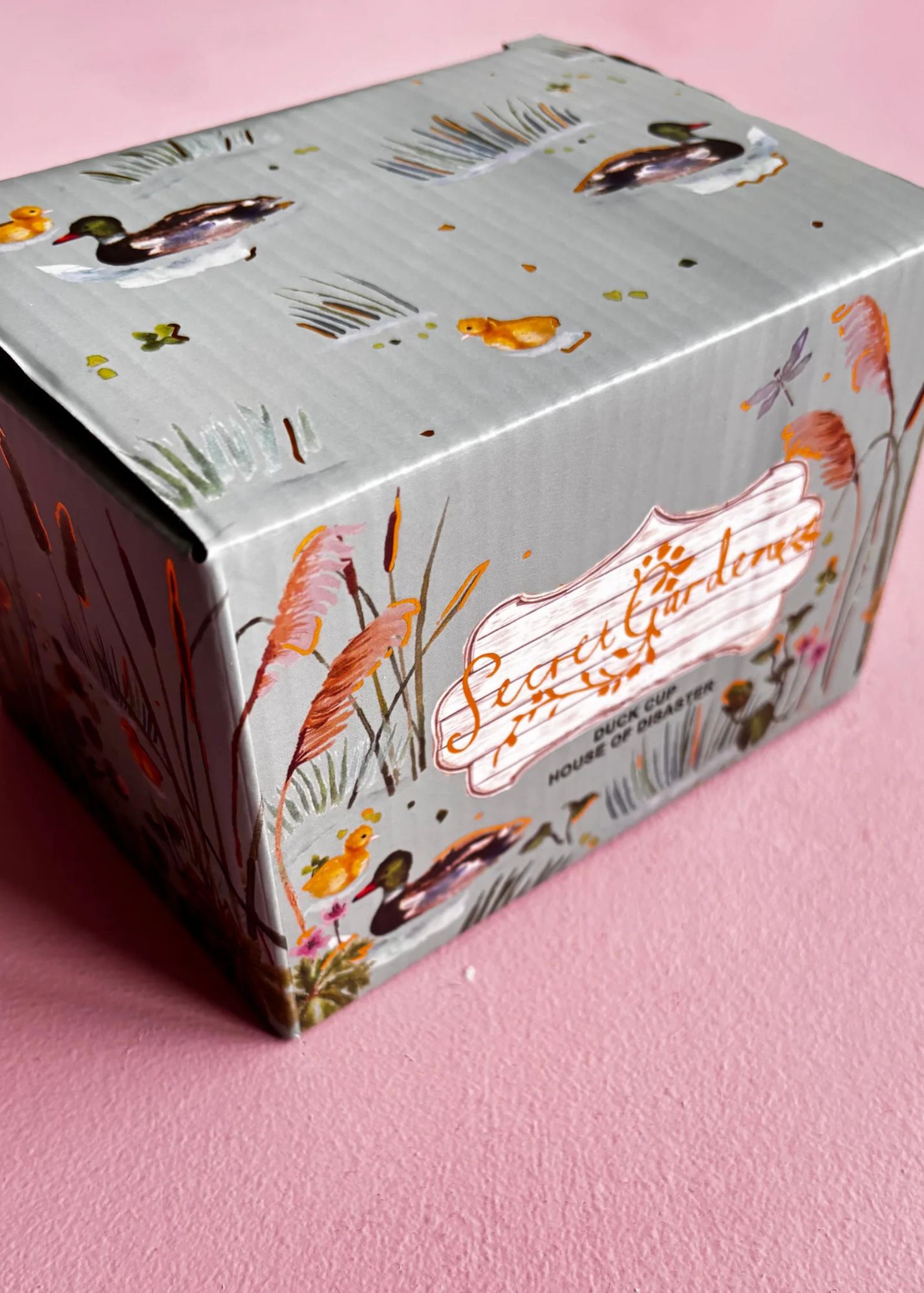 House of Disaster - Secret Garden 3D Duck Cup