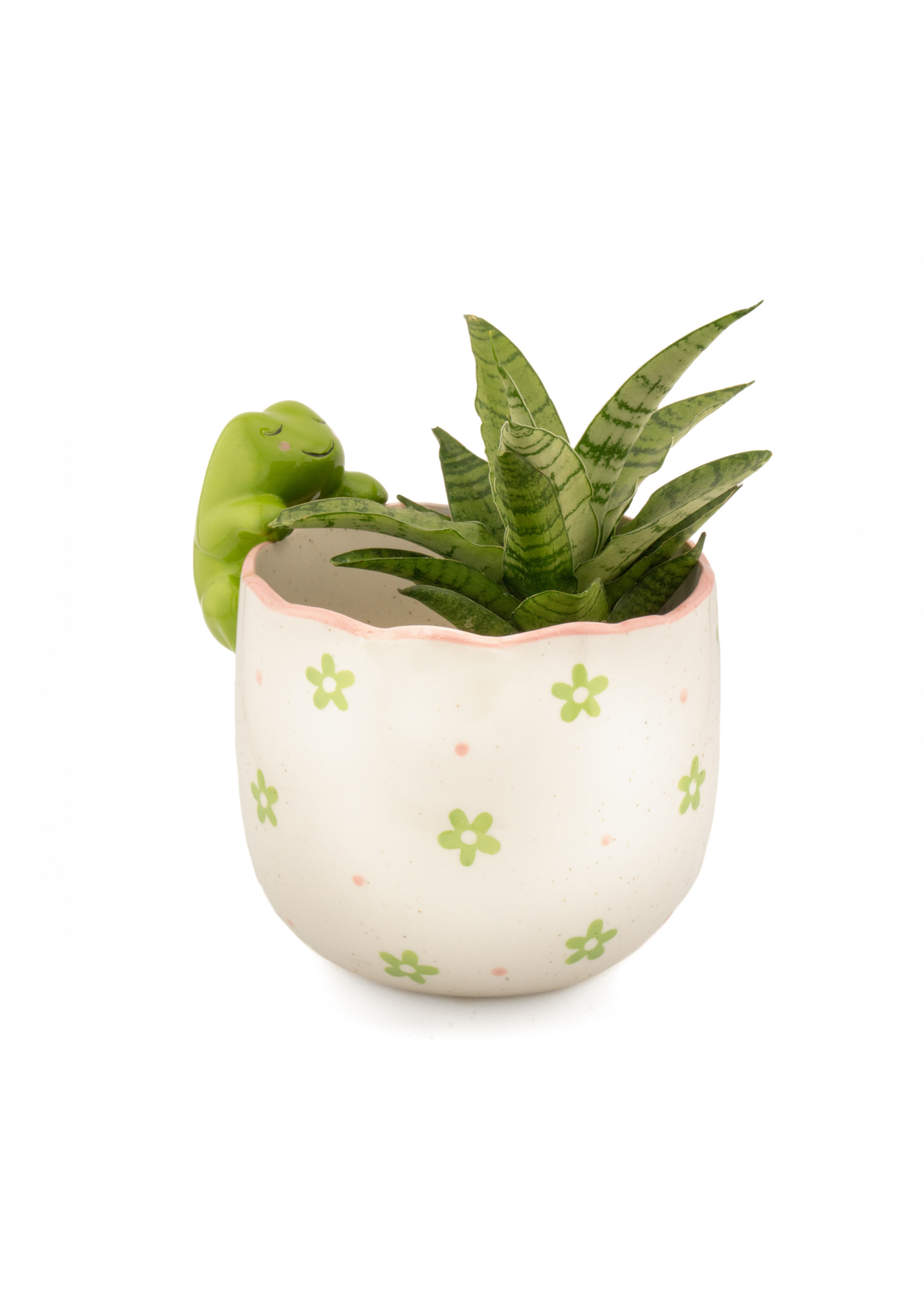 Sass & Belle - Peeking Frog Planter
