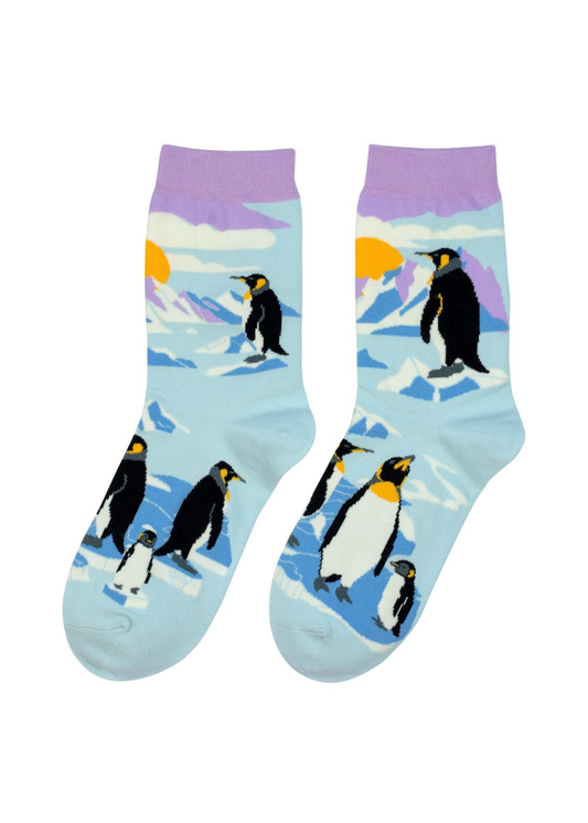 Joe Cool - Winter Penguin Socks