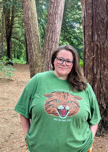 Home of Rainbows - "I'm A Friend To All Cats" Scottish Wildcat Tee