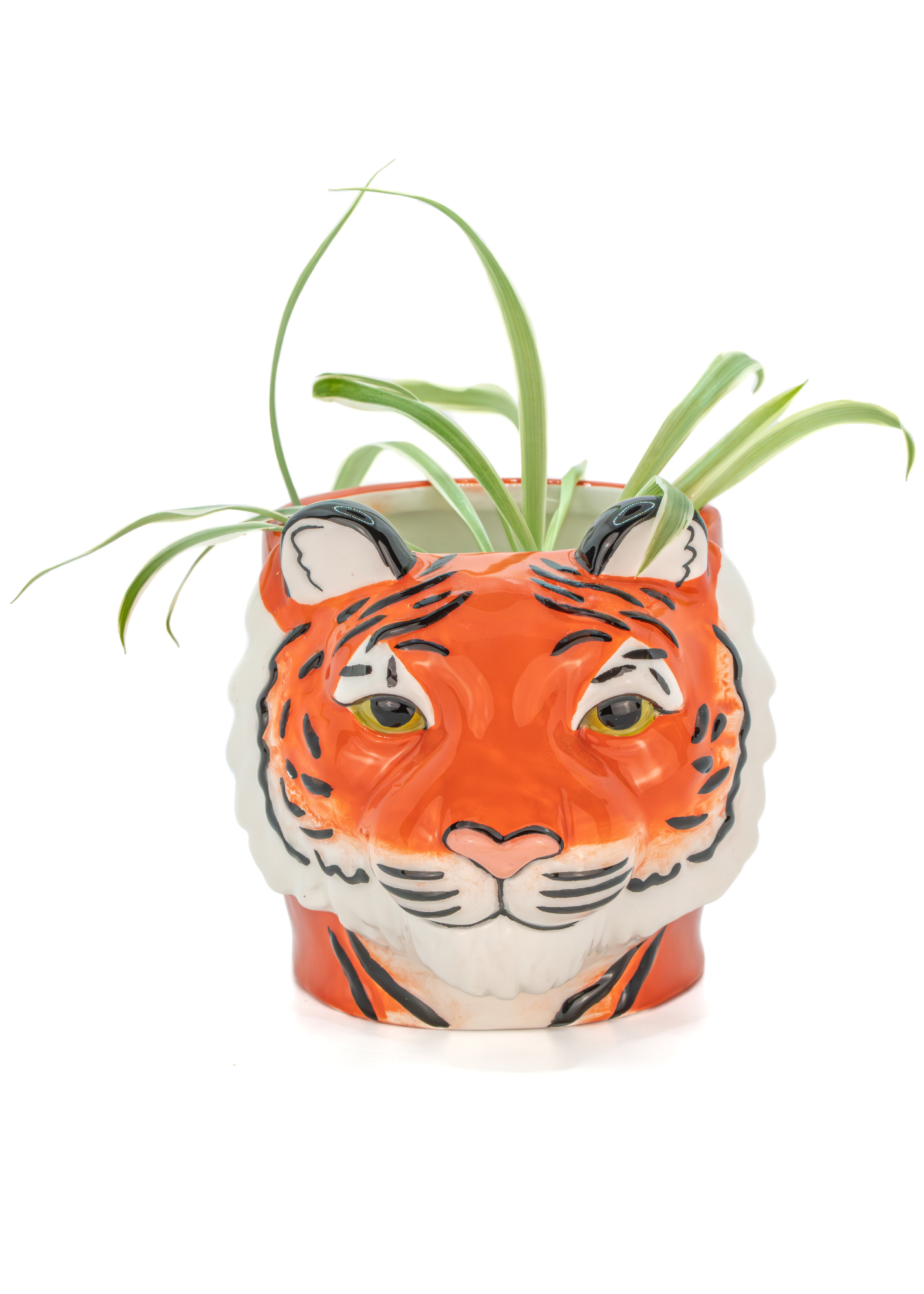 Sass & Belle - Tiger Face Planter