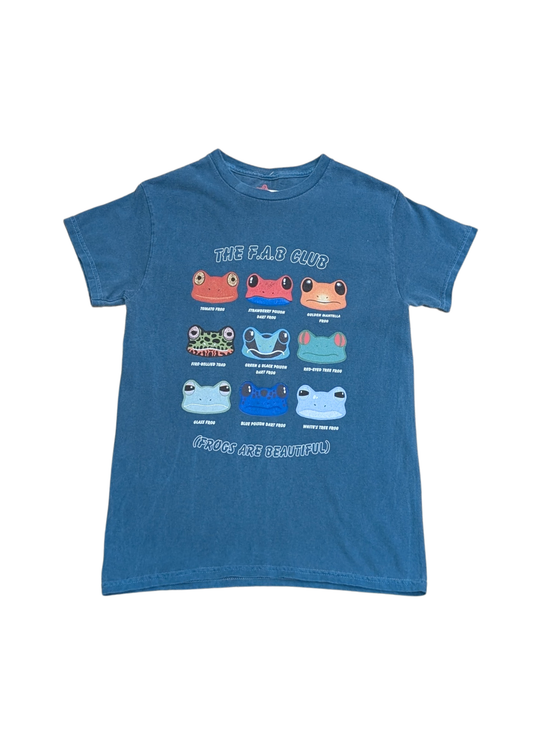 Home of Rainbows - Frogs Are Beautiful Tee in Teal