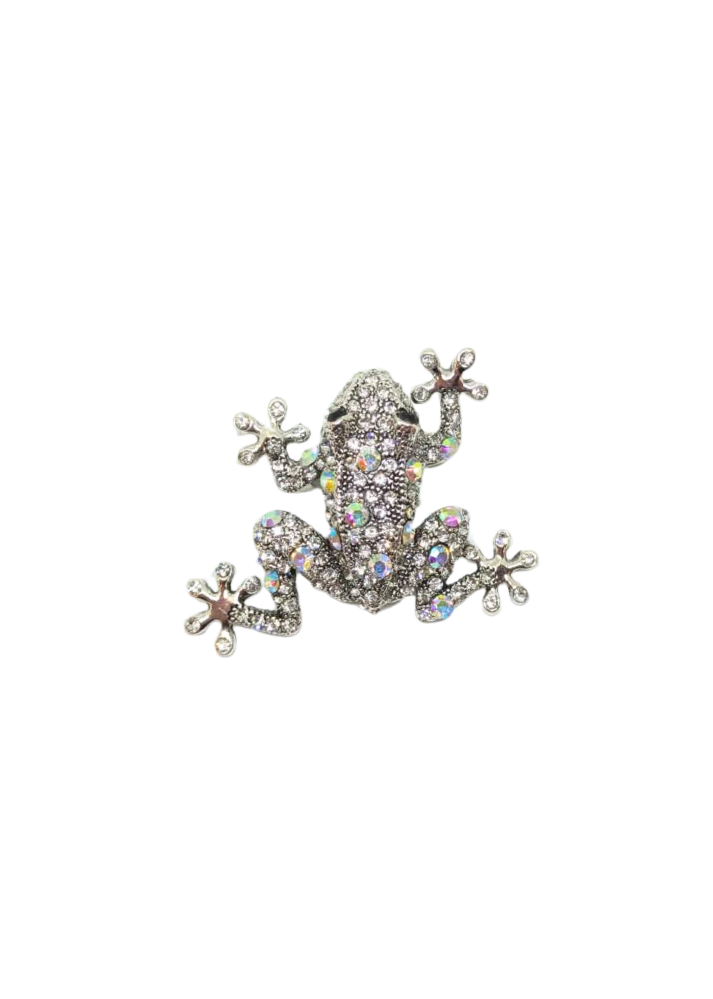 The Edit - Iridescent Silver Frog Brooch