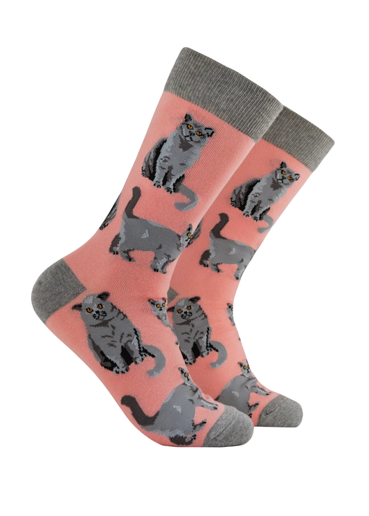 Socktopus - British Shorthair Cat Socks