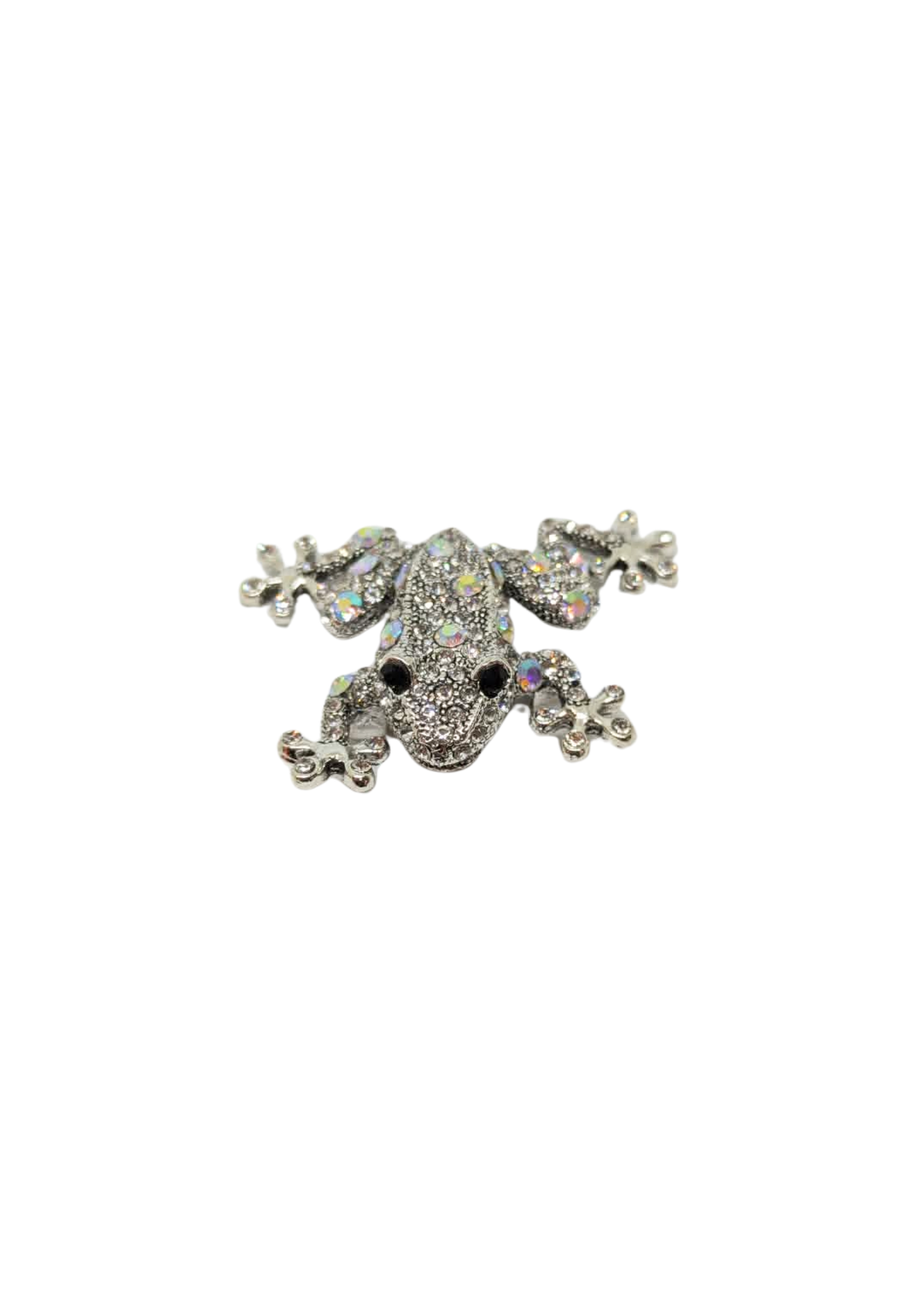 The Edit - Iridescent Silver Frog Brooch