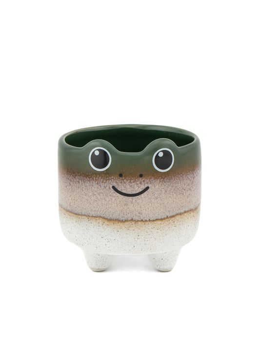 Sass & Belle - Mojave Mini Frog Planter