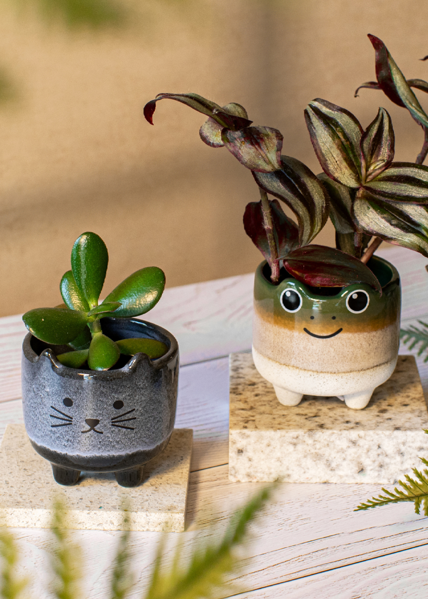 Sass & Belle - Mojave Mini Frog Planter